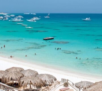 رحلات مرسى علم