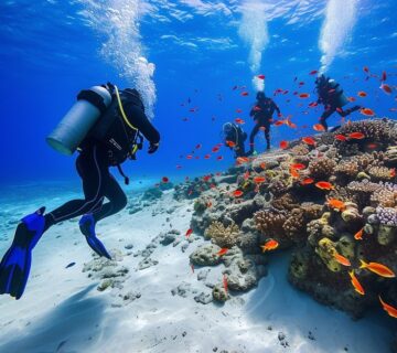 رحلات الغردقة من القاهرة