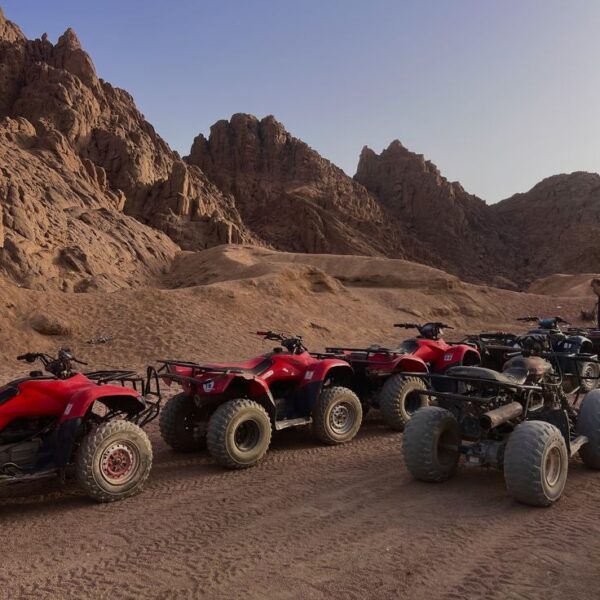 أسعار رحلات سفاري الغردقة