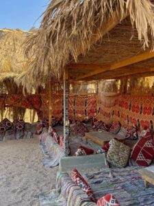 أسعار رحلات سفاري الغردقة 