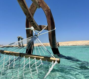 فنادق في مرسى علم