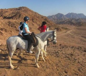 أفضل رحلات ركوب الخيل في شرم الشيخ 360x320