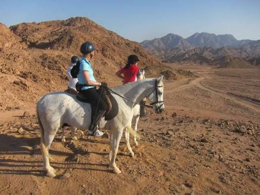 أفضل رحلات ركوب الخيل في شرم الشيخ