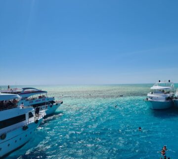 Marsa Alam Snorkelling for Beginners